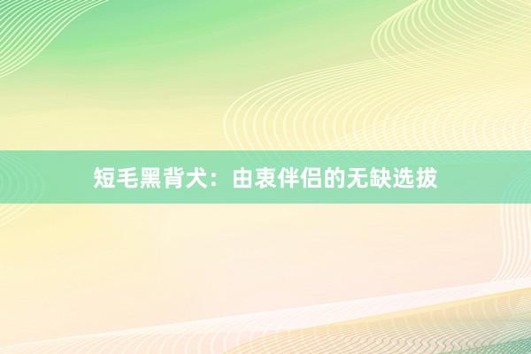 短毛黑背犬：由衷伴侣的无缺选拔